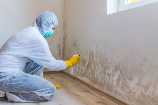 Licensed Commercial Mold Remediation service in Belmont, NC - WQB Mold Removal