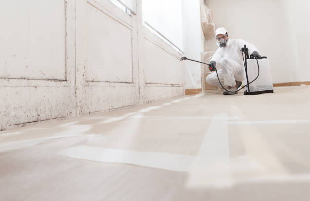24/7 Emergency Commercial Mold Remediation experts in Belmont, NC