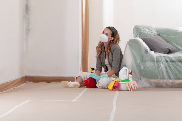 Reliable Commercial Mold Remediation contractor in Belmont, NC by WQB Mold Removal
